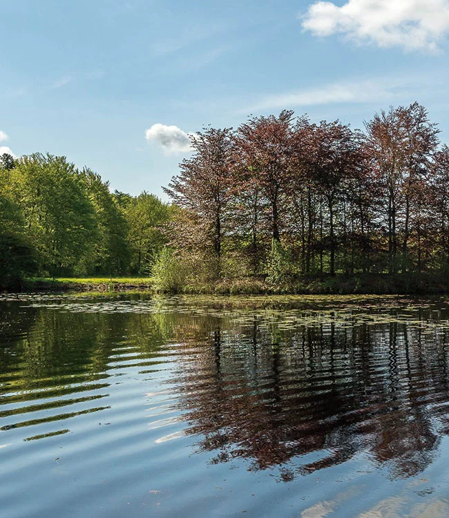 Produkty chemiczne są używane do ochrony środowiska