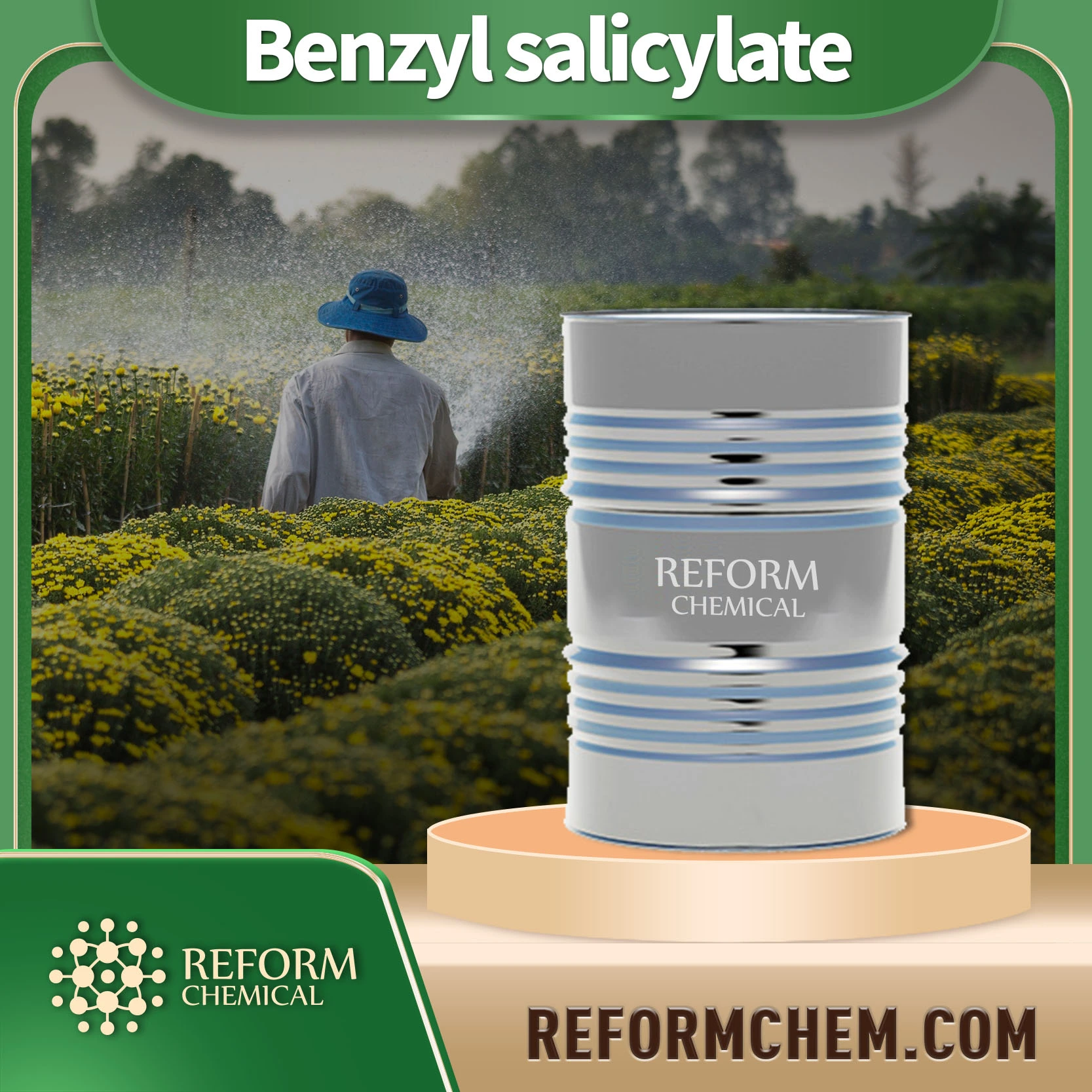 Salicylan benzylu