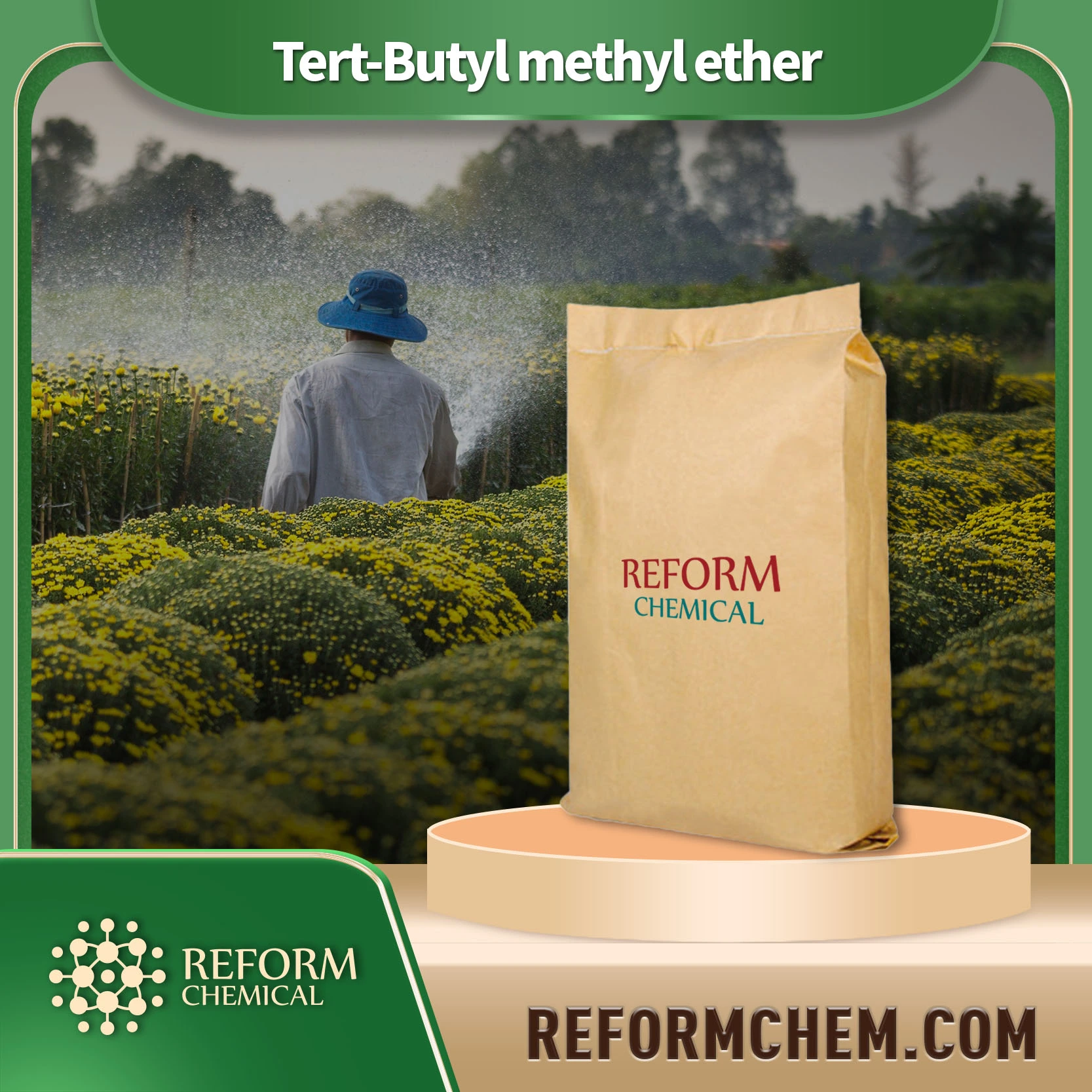 Eter tert-butylowy metylowy