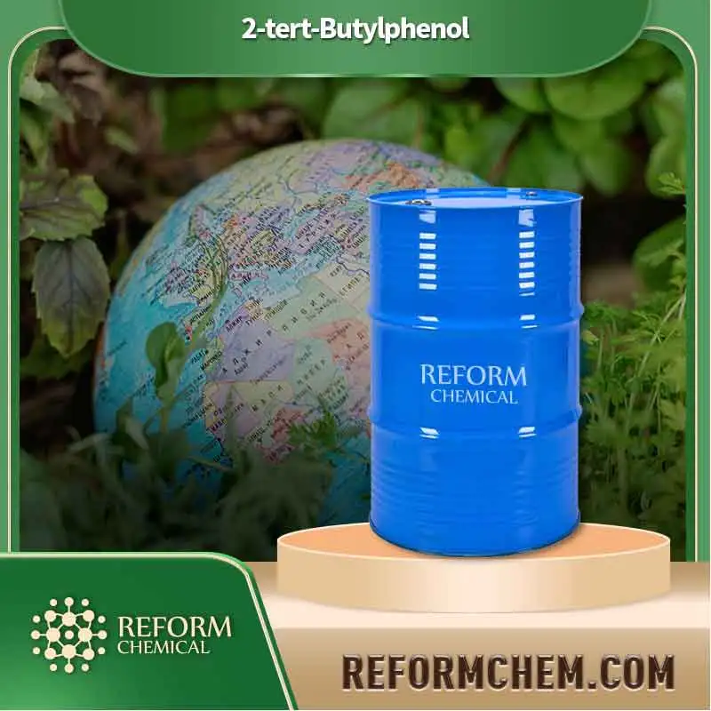 2 tert butylphenol 88 18 6