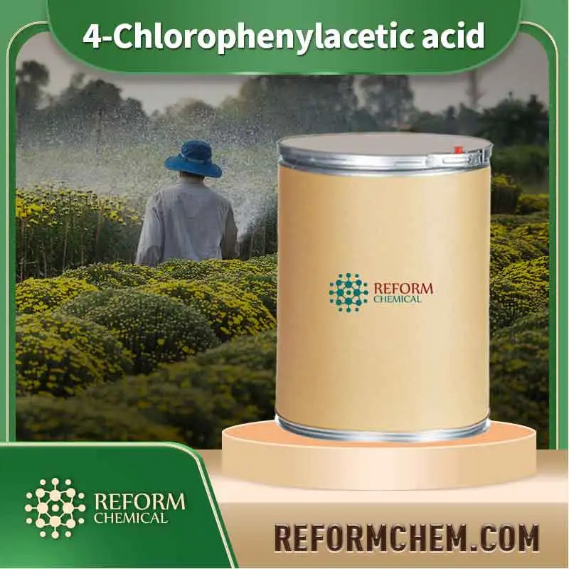 4 chlorophenylacetic acid 1878 66 6